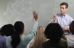 Professores: esteio da educação