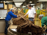 Notícias destaque 2014 – 2