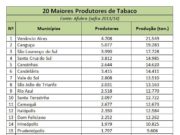 Brasil responde por mais de 10% do tabaco produzido no mundo