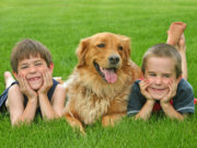 Benefícios da convivência com animais