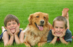 Benefícios da convivência com animais