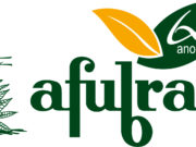 Nova logomarca alusiva aos 60 anos