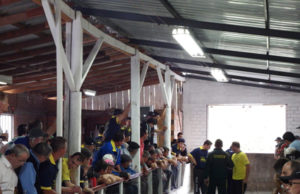 Torneio Início de Bocha ocorre amanhã