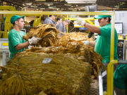 Copa: Turismo terá 200 mil trabalhadores temporários