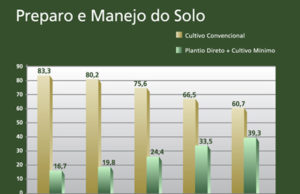 Solo preservado, sinônimo de produção sustentável