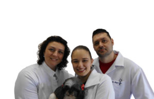 Pet a Teti completa 12 anos de história