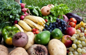 Estado assina contratos com cooperativas para repasse de alimentos ao sistema prisional