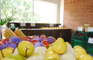 Novo conceito em alimentação saudável