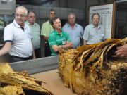 Entidades acompanham compra de tabaco