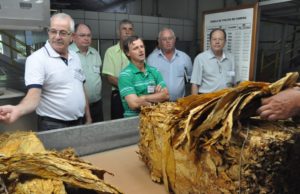 Entidades acompanham compra de tabaco