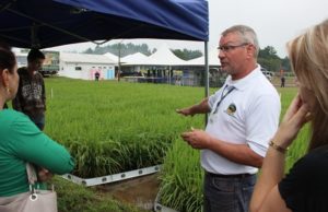 Dia do Arroz propõe casamento com a soja na Expoagro Afubra