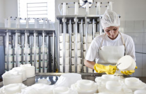 Cooperativas da agricultura familiar terão R$ 25 milhões para investimentos