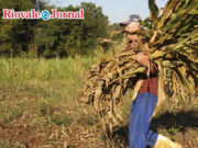 Trabalhadores rurais são lembrados