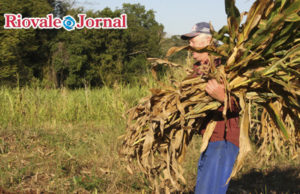 Trabalhadores rurais são lembrados
