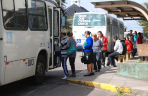 Condições sanitárias do transporte coletivo chamam atenção