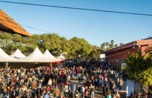 Festa das Cucas comemora público de 70 mil pessoas