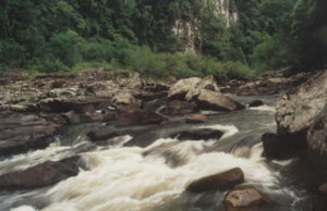 Coleta seletiva recolhe toneladas por mês