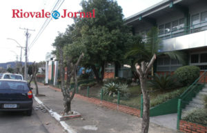 Tipuanas: Podas acontecem nas manhãs de domingo