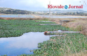 Coleta de esgoto precisa melhorar e ser ampliada