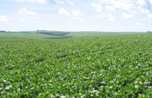 RS cai para 4° maior exportador