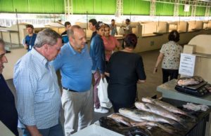 Prefeito Telmo Kirst visita Feira do Peixe