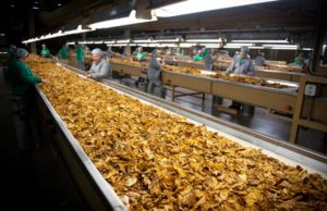 Dia da Indústria: O motor que movimenta a economia santa-cruzense