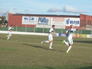 Avenida derrota o Pelotas e enfrenta o Esportivo nas quartas-de-final
