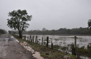 Estado tem 49 municípios em situação de emergência