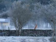Frio começa a dar trégua