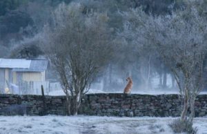 Massa de ar polar chega ao país com possibilidade de neve no Rio Grande do Sul