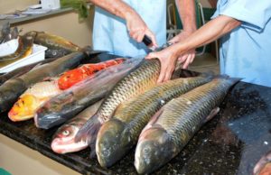 Dias 9 e 10 de outubro tem Feira do Peixe em Santa Cruz