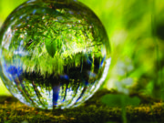 Riovale promove Semana de Sustentabilidade Local