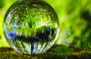Riovale promove Semana de Sustentabilidade Local