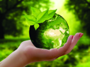 Eventos promoverão a sustentabilidade local