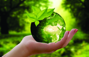 Eventos promoverão a sustentabilidade local
