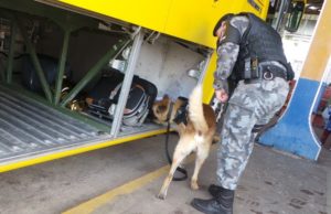 Brigada Militar realiza Operação Rodoviária em Santa Cruz do Sul