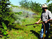 Fórum Gaúcho de Combate aos Impactos dos Agrotóxicos realizará audiência pública em SCS