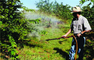 Fórum Gaúcho de Combate aos Impactos dos Agrotóxicos realizará audiência pública em SCS