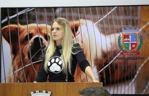 Quem comanda a Câmara de Vereadores?