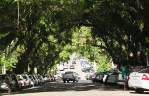 Bailinho de Carnaval da Borges é neste sábado