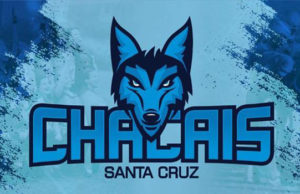 Futebol americano: Chacais estreia contra o Bulls