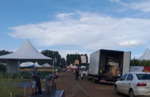 Parque da Expoagro Afubra recebe últimos preparativos