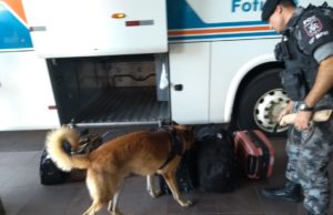 Localização de radares móveis em rodovias estaduais será divulgada