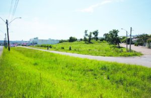 Inauguração da Havan deve ocorrer até outubro