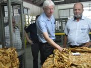 Entidades acompanham comercialização do tabaco