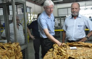 Entidades acompanham comercialização do tabaco