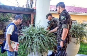 Combate à dengue: Vistoriados mais de 7,4 mil imóveis