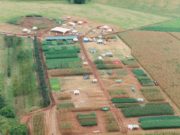 Expoagro Afubra 20 anos terá edição superespecial
