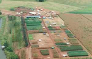 Expoagro Afubra 20 anos terá edição superespecial