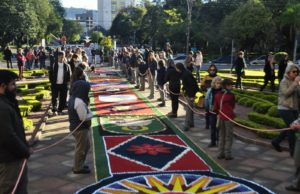 Corpus Christi: Celebração reúne milhares de fiéis